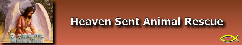 Heavensent logo